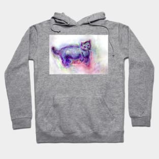 Is The Cat Jumping or Lying Down? Hoodie